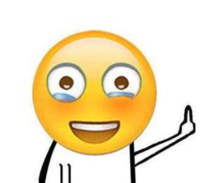 关于比亚迪搞笑表情